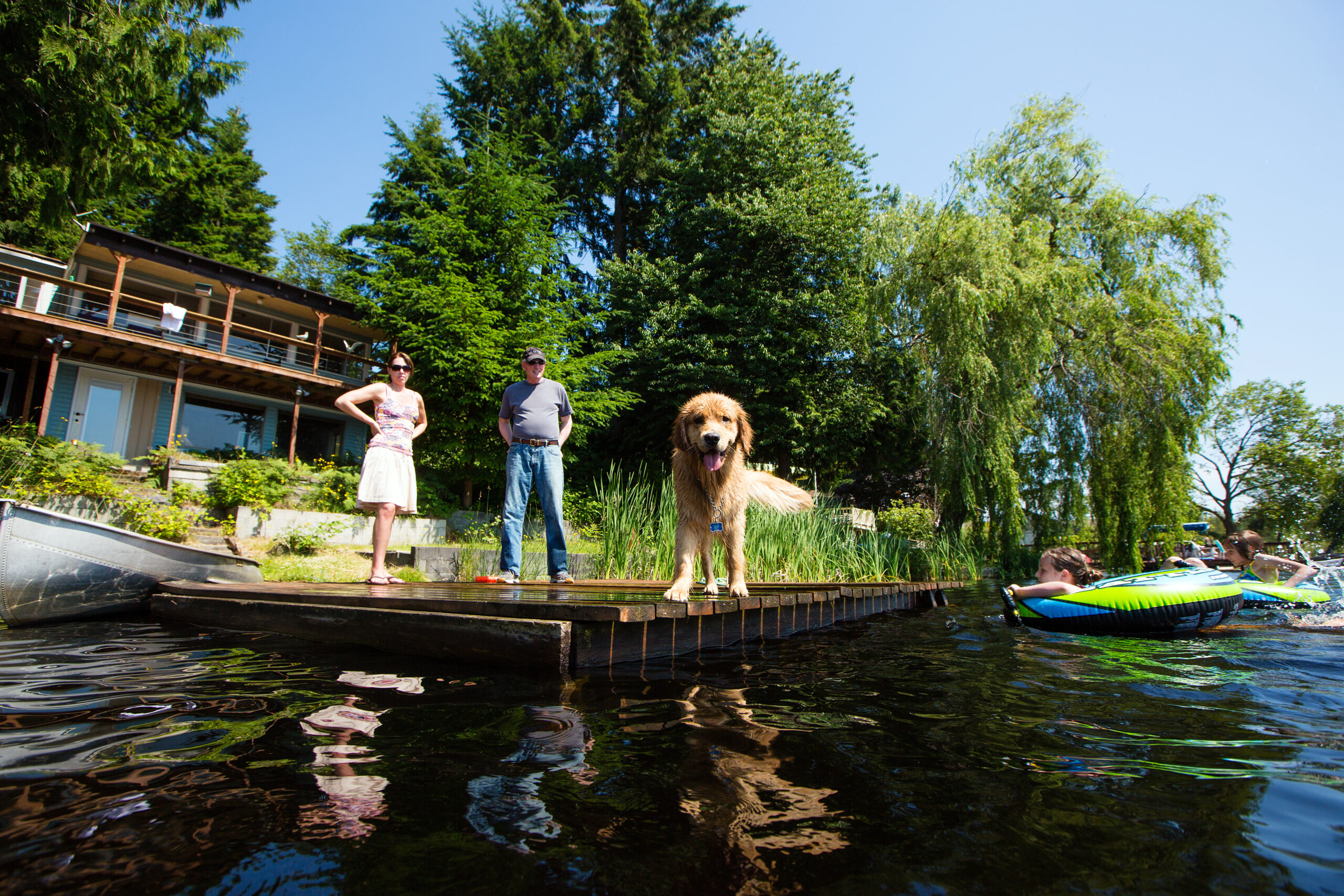 Golden Retriever on a lake